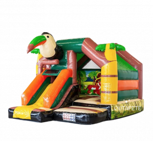 Le toucan