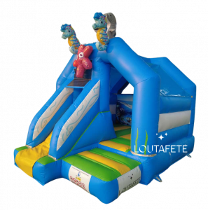 Ocean Bouncer