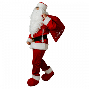 déguisement mascotte location anniversaire noël